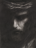 Crowned (original)